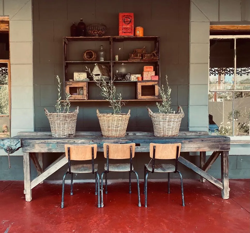 Guest house De Dapper Huys Hotel Philadelphia